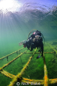 Diver and Sun Rays, Wraysbury Lake, Middlesex. by Nick Blake 